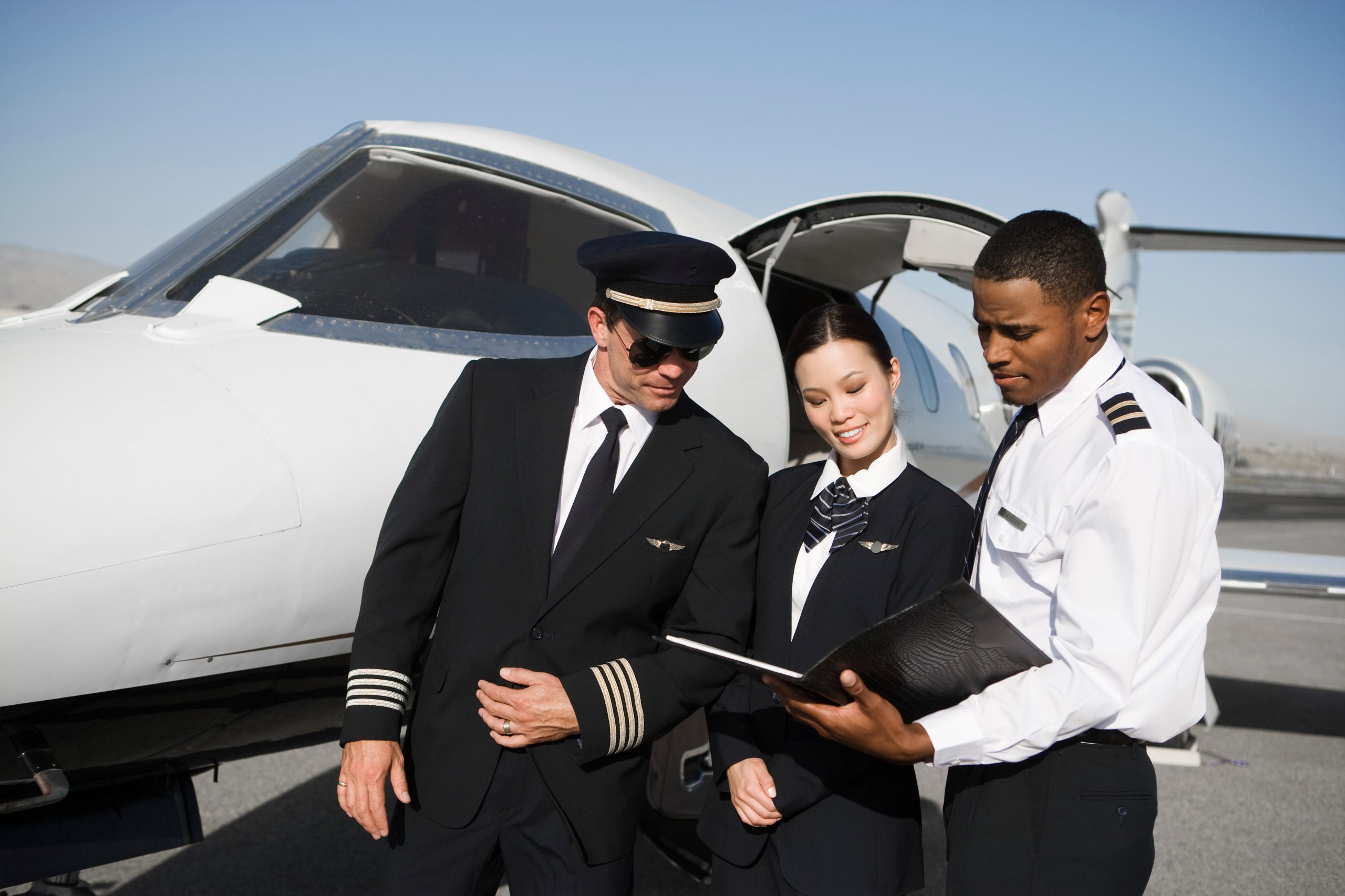 Flight training background